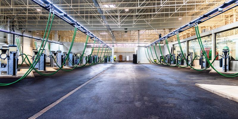 6K6A2632 copie 6K6A2632 copie